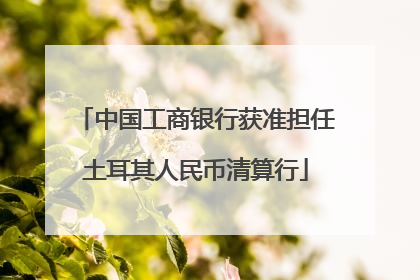 中国工商银行获准担任土耳其人民币清算行