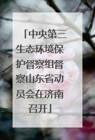 中央第三生态环境保护督察组督察山东省动员会在济南召开