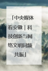 中央媒体看安徽｜科技创新与网络文明同频共振