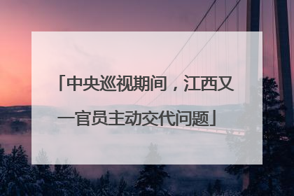 中央巡视期间，江西又一官员主动交代问题