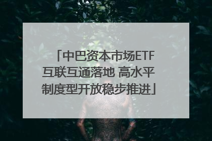 中巴资本市场ETF互联互通落地 高水平制度型开放稳步推进