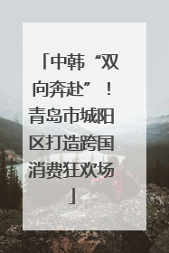 中韩“双向奔赴”！青岛市城阳区打造跨国消费狂欢场
