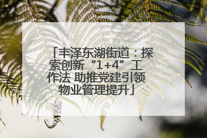 丰泽东湖街道：探索创新“1+4”工作法 助推党建引领物业管理提升