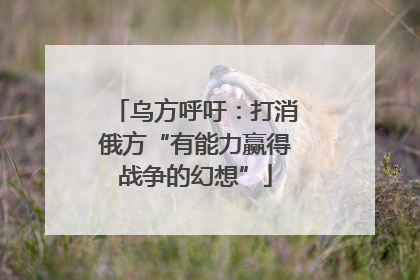 乌方呼吁：打消俄方“有能力赢得战争的幻想”