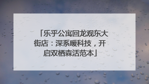 乐乎公寓回龙观东大街店：深系暖科技，开启双栖森活范本