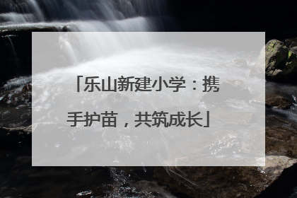 乐山新建小学：携手护苗，共筑成长