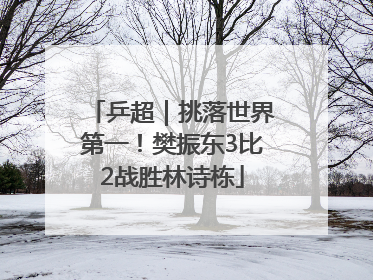乒超｜挑落世界第一！樊振东3比2战胜林诗栋