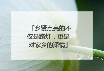 乡贤点亮的不仅是路灯，更是对家乡的深情