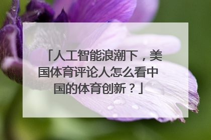 人工智能浪潮下，美国体育评论人怎么看中国的体育创新？