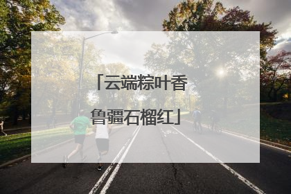 云端粽叶香 鲁疆石榴红