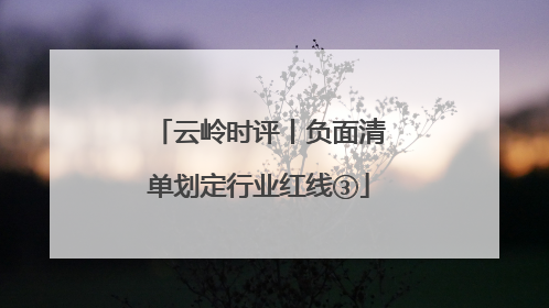 云岭时评丨负面清单划定行业红线③