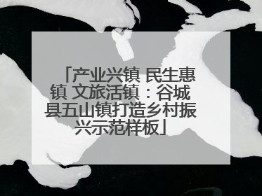 产业兴镇 民生惠镇 文旅活镇：谷城县五山镇打造乡村振兴示范样板