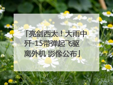 亮剑西太！大雨中歼-15带弹起飞驱离外机 影像公布
