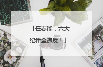 任志能，六大纪律全违反！