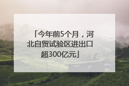今年前5个月，河北自贸试验区进出口超300亿元
