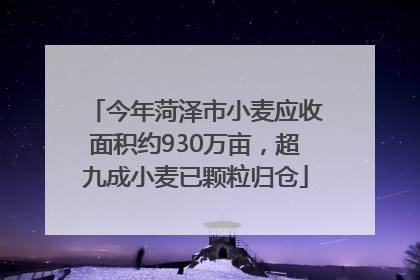 今年菏泽市小麦应收面积约930万亩，超九成小麦已颗粒归仓