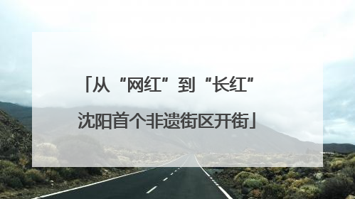 从“网红”到“长红” 沈阳首个非遗街区开街