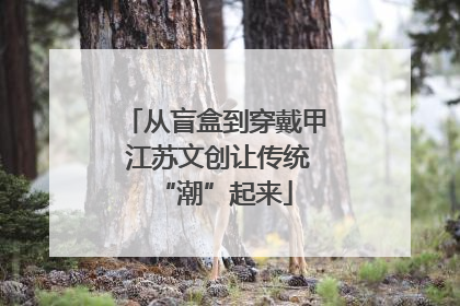 从盲盒到穿戴甲 江苏文创让传统“潮”起来