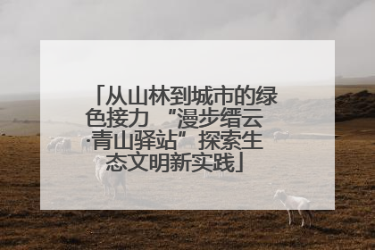 从山林到城市的绿色接力 “漫步缙云·青山驿站”探索生态文明新实践