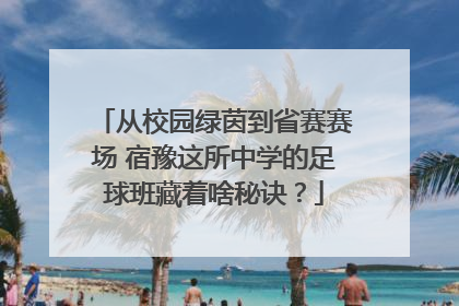 从校园绿茵到省赛赛场 宿豫这所中学的足球班藏着啥秘诀？