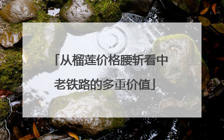 从榴莲价格腰斩看中老铁路的多重价值