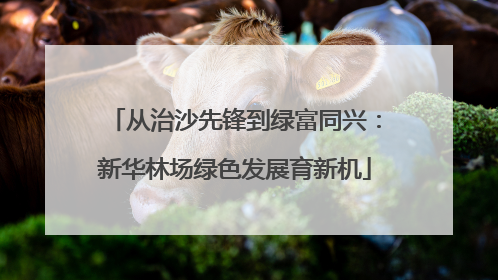从治沙先锋到绿富同兴：新华林场绿色发展育新机