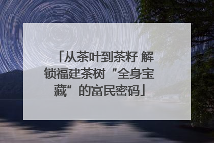 从茶叶到茶籽 解锁福建茶树“全身宝藏”的富民密码