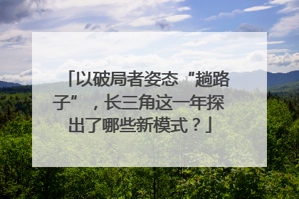 以破局者姿态“趟路子”，长三角这一年探出了哪些新模式？