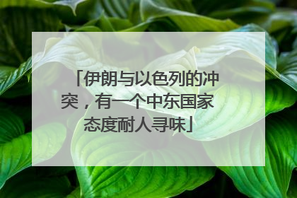 伊朗与以色列的冲突，有一个中东国家态度耐人寻味