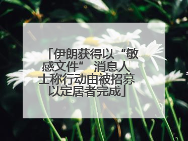 伊朗获得以“敏感文件” 消息人士称行动由被招募以定居者完成