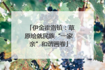 伊金霍洛镇：草原绘就民族“一家亲”和谐画卷