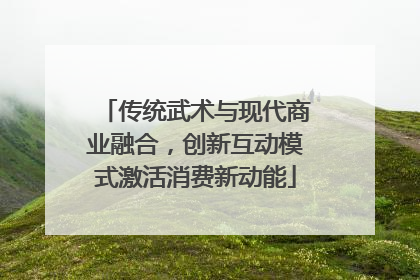 传统武术与现代商业融合，创新互动模式激活消费新动能