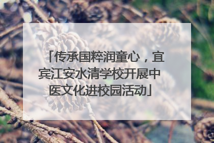 传承国粹润童心，宜宾江安水清学校开展中医文化进校园活动