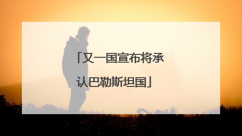 又一国宣布将承认巴勒斯坦国
