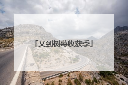 又到树莓收获季
