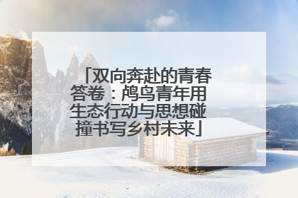 双向奔赴的青春答卷：鸬鸟青年用生态行动与思想碰撞书写乡村未来