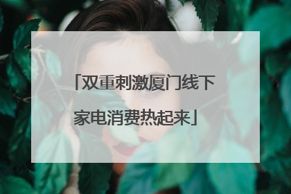 双重刺激厦门线下家电消费热起来