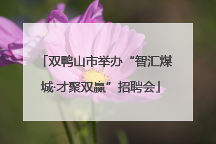 双鸭山市举办“智汇煤城·才聚双赢”招聘会