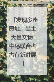 发现多座房址、出土大量文物 中乌联合考古有新进展