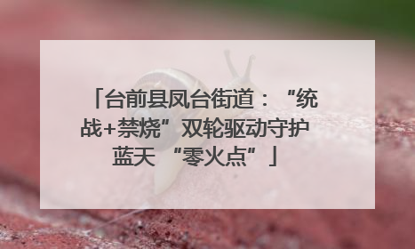 台前县凤台街道：“统战+禁烧”双轮驱动守护蓝天 “零火点”