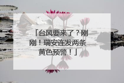 台风要来了？刚刚！瑞安连发两条黄色预警！