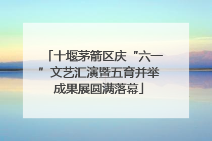 十堰茅箭区庆“六一”文艺汇演暨五育并举成果展圆满落幕