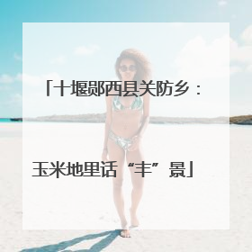 十堰郧西县关防乡：玉米地里话“丰”景