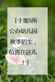 十堰5所公办幼儿园秋季招生，位置在这儿！