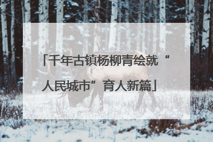 千年古镇杨柳青绘就“人民城市”育人新篇