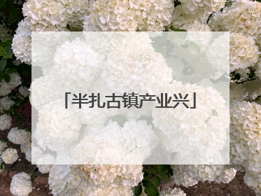 半扎古镇产业兴