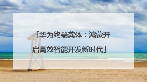 华为终端龚体：鸿蒙开启高效智能开发新时代
