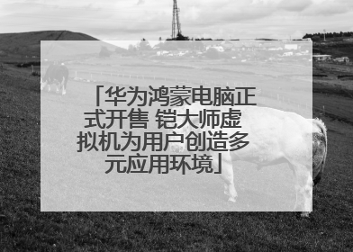 华为鸿蒙电脑正式开售 铠大师虚拟机为用户创造多元应用环境