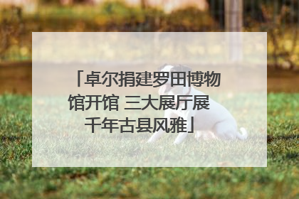卓尔捐建罗田博物馆开馆 三大展厅展千年古县风雅