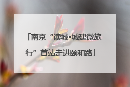 南京“读城•城建微旅行”首站走进颐和路
